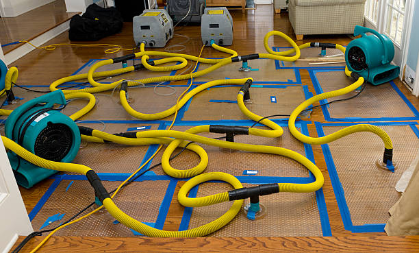 Professional Sewage Cleanup technician working in Wilson, WY