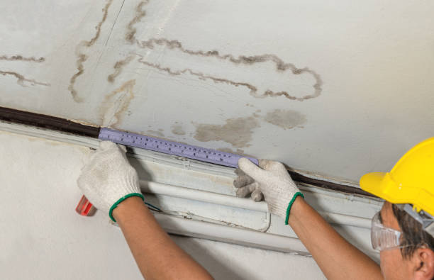 Affordable Water Damage Repair solutions in Wilson, WY